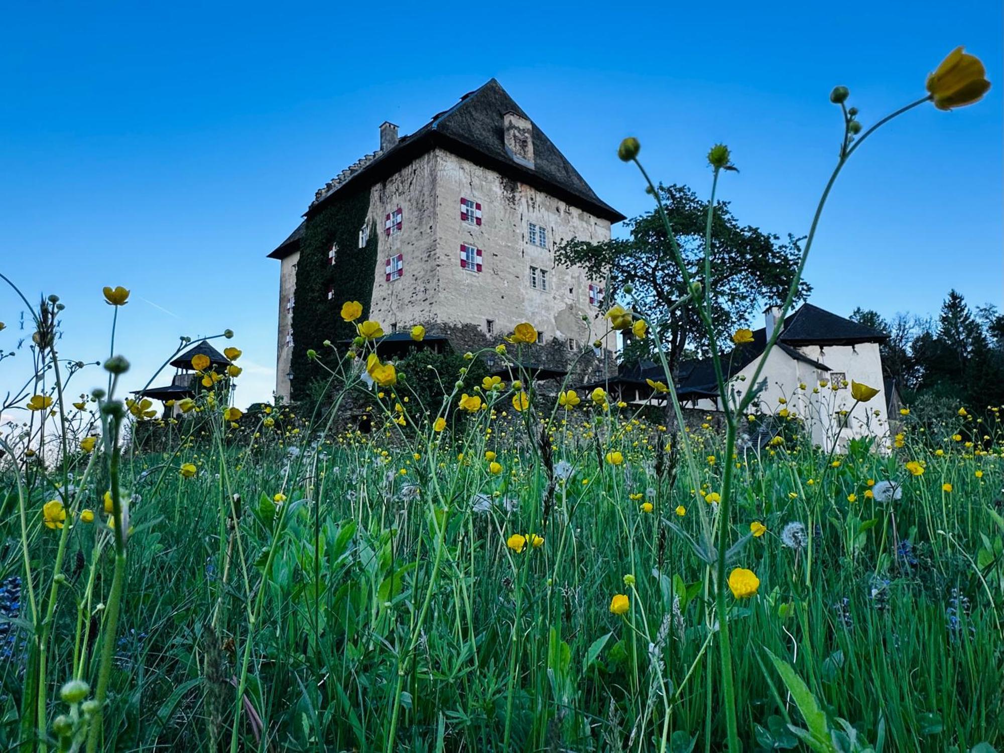 Schloss Moosburg Gaestehaus Екстериор снимка